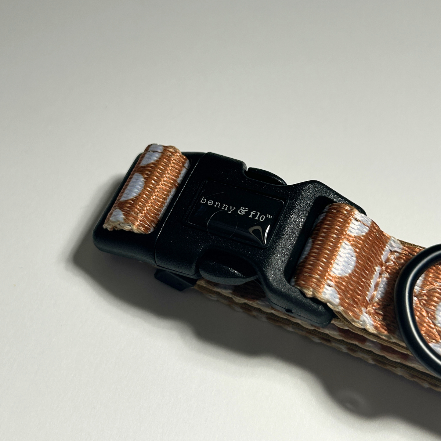 Brown Dog collar with a patterned strap and black buckle on a light white background