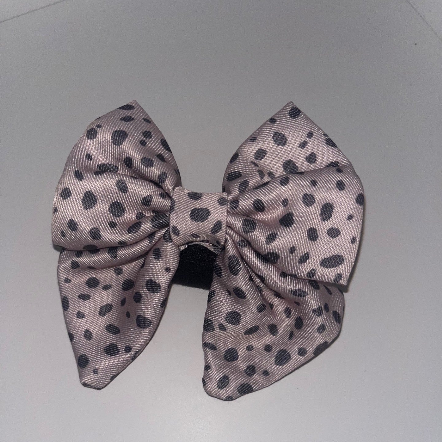 Dalmatian Dream Bow