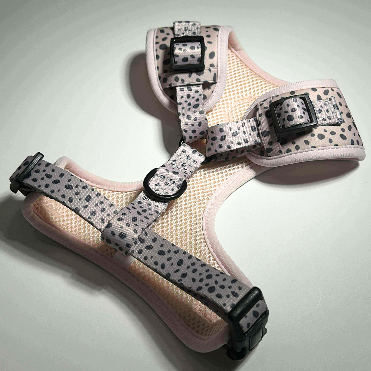 Dalmatian Dream Harness