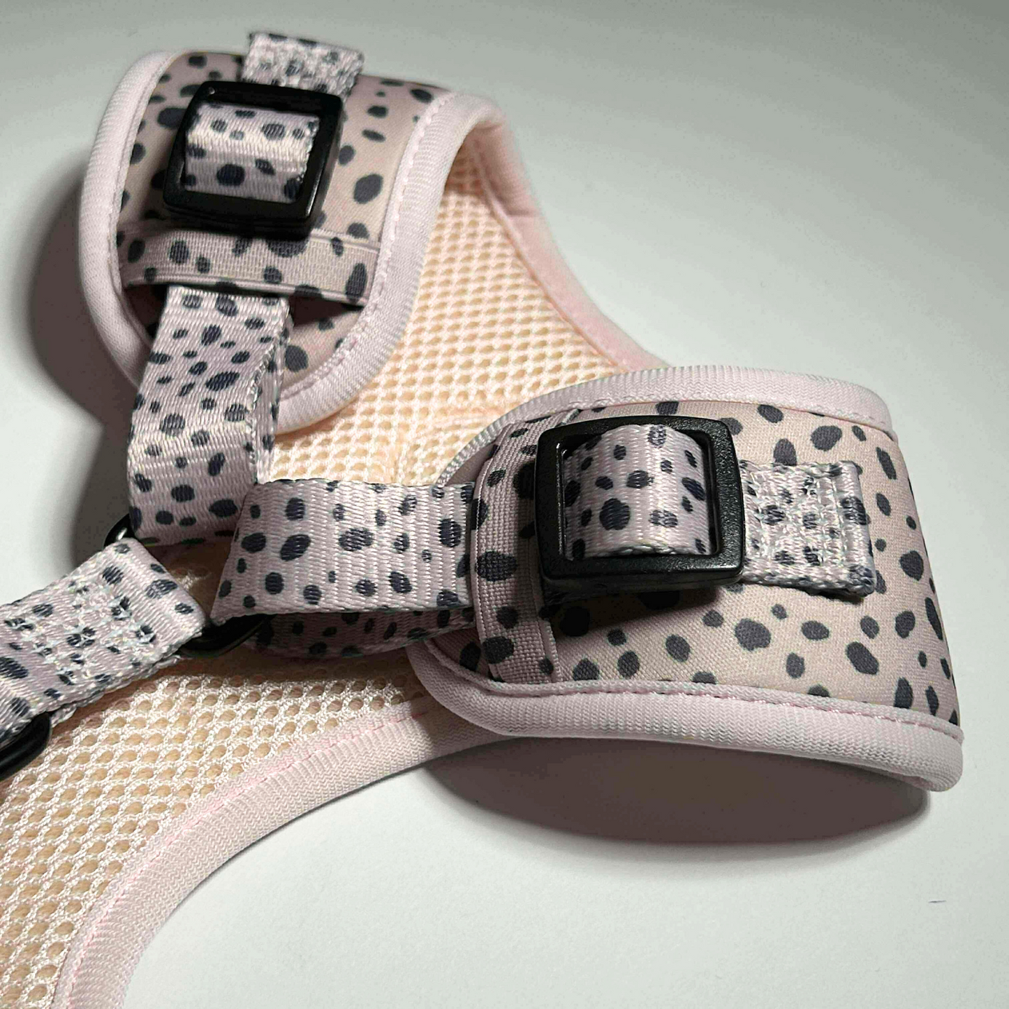 Dalmatian Dream Harness