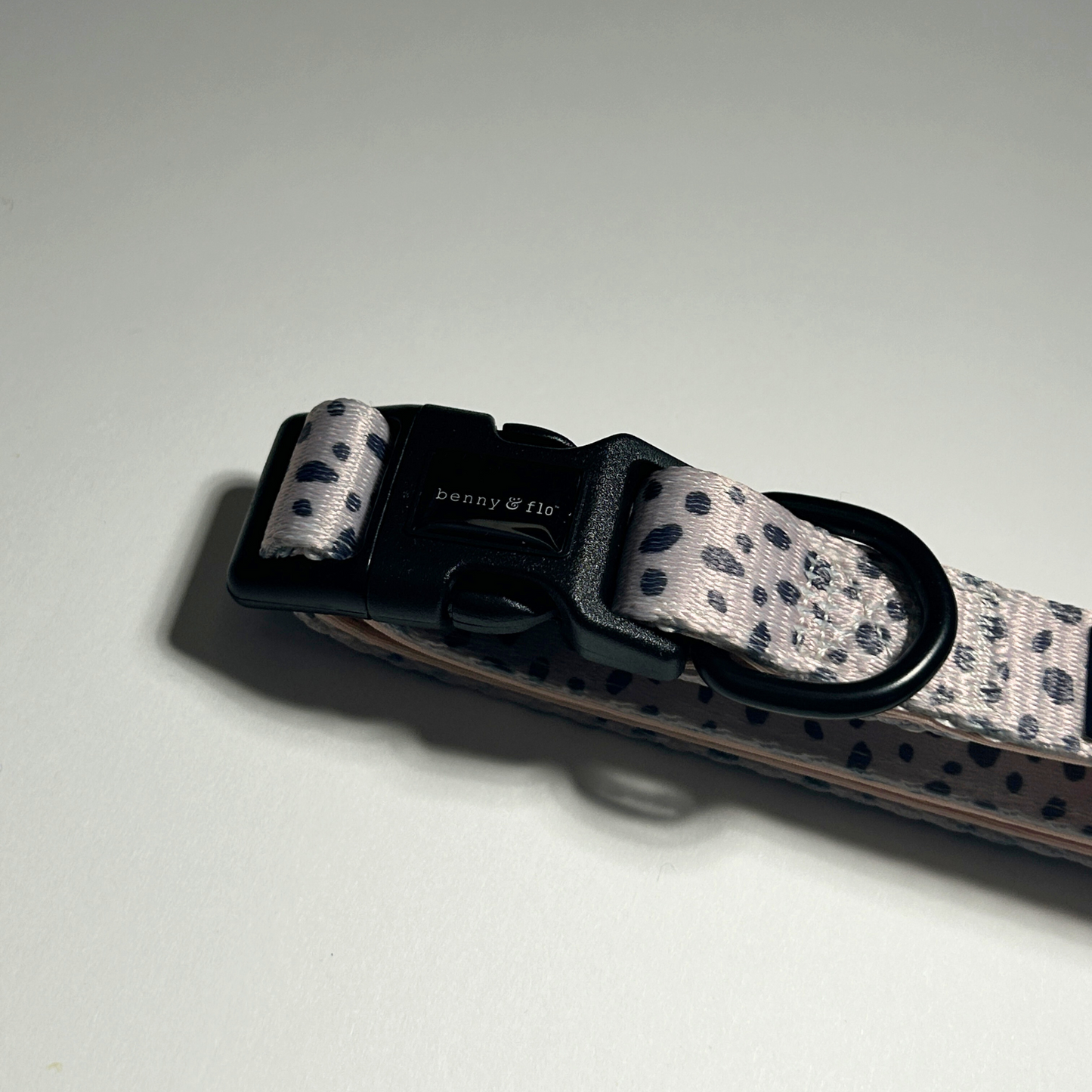 Dalmatian Dream Collar