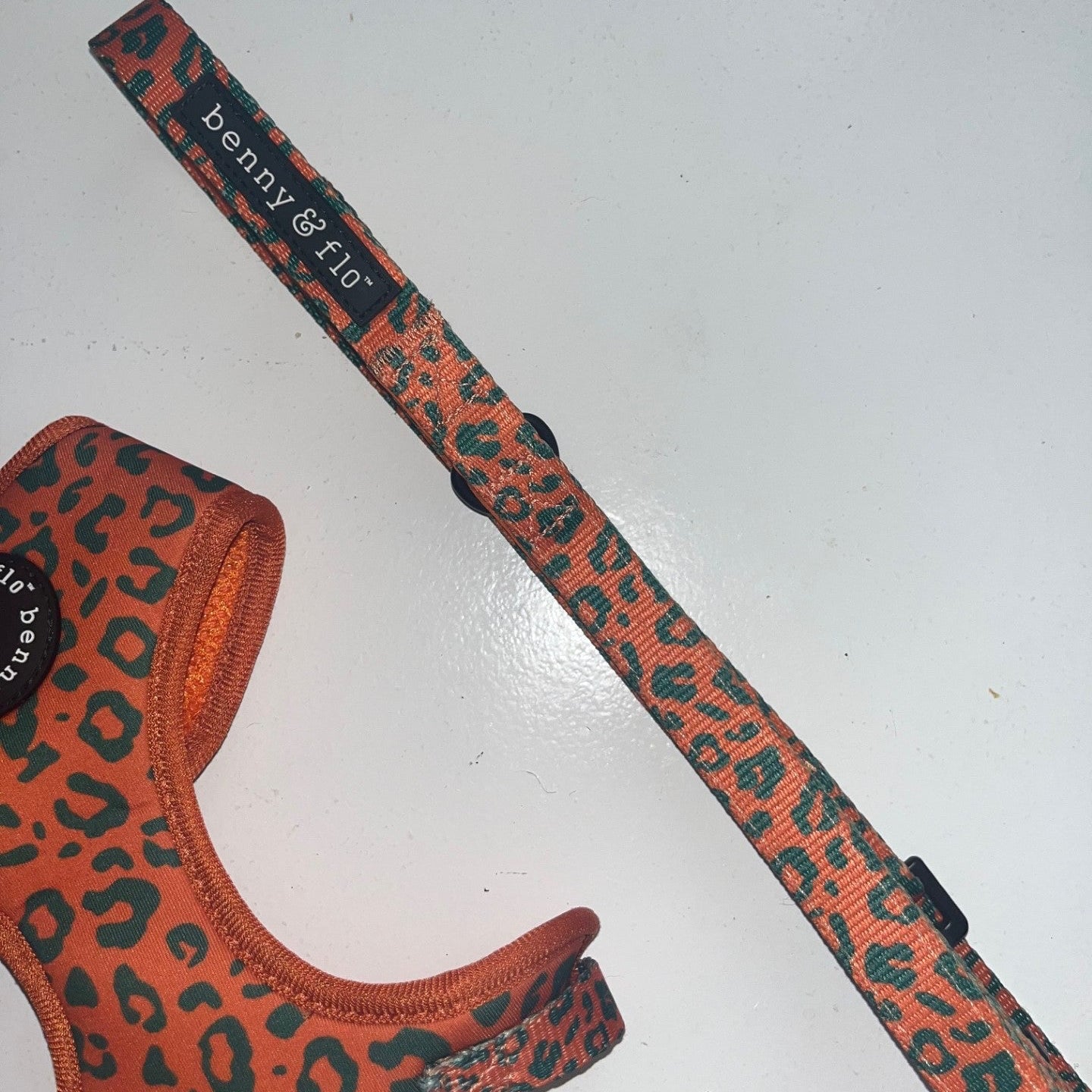 Wilderness Lead