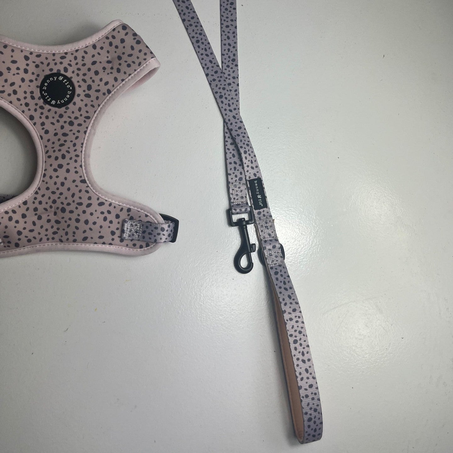 Dalmatian Dream Lead