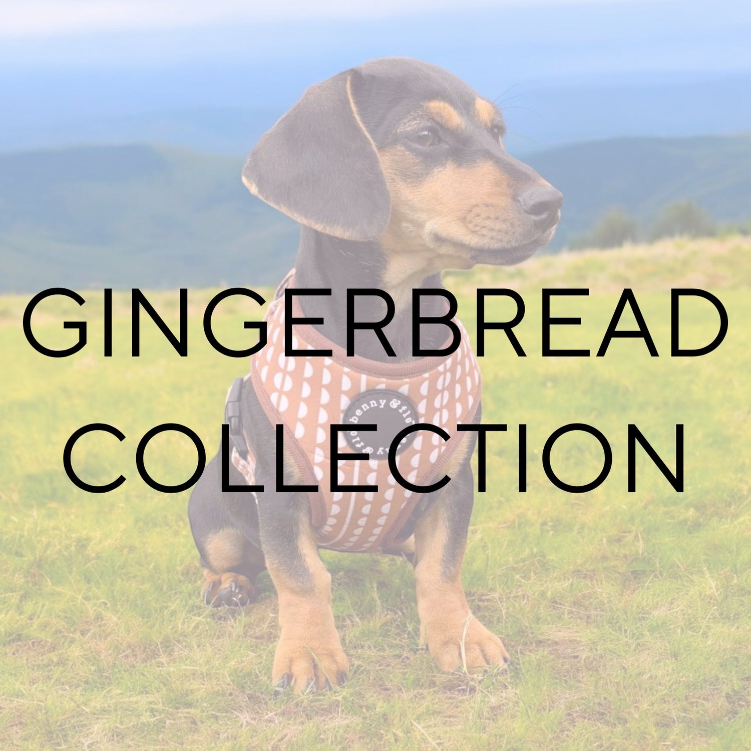 Gingerbread Collection