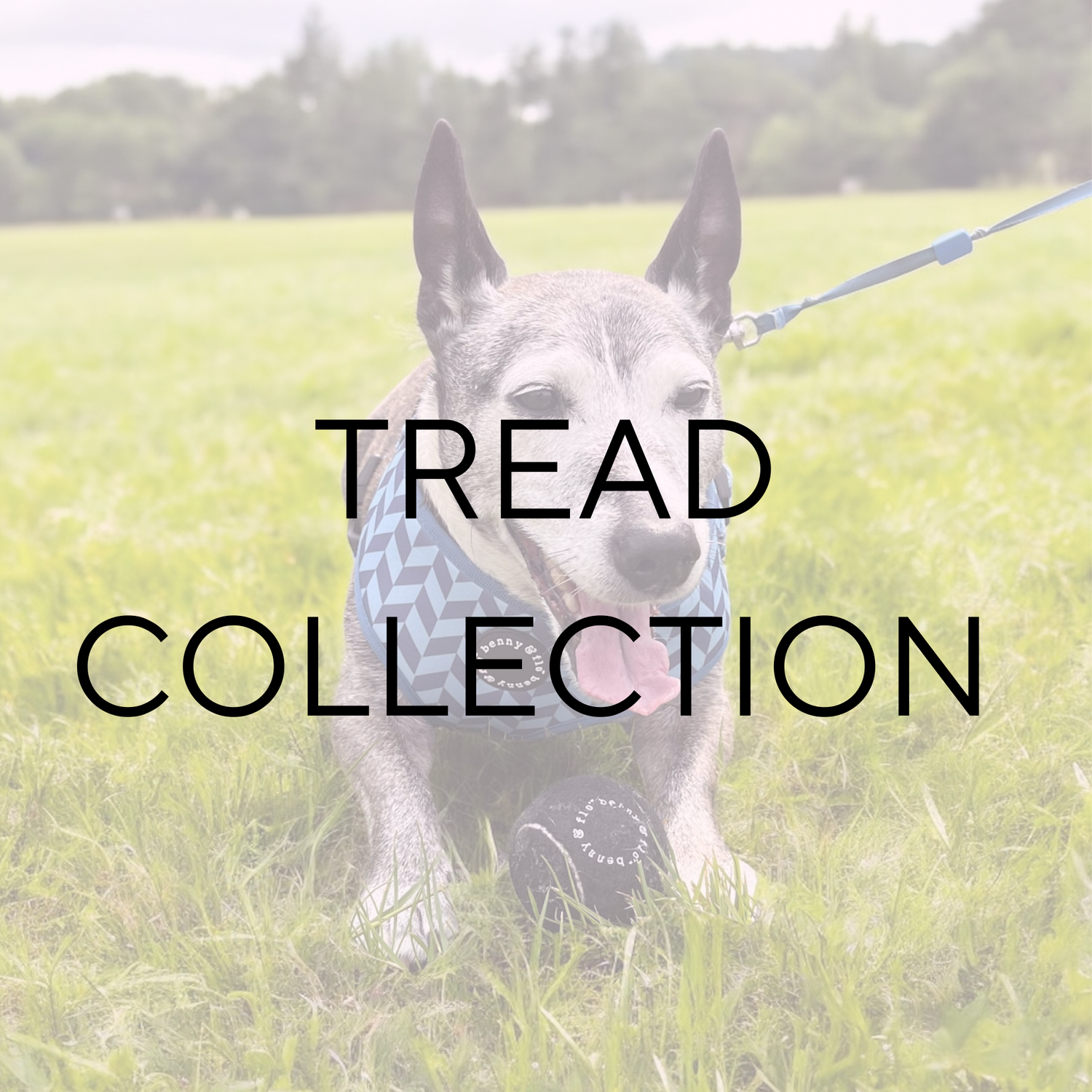 Tread Collection