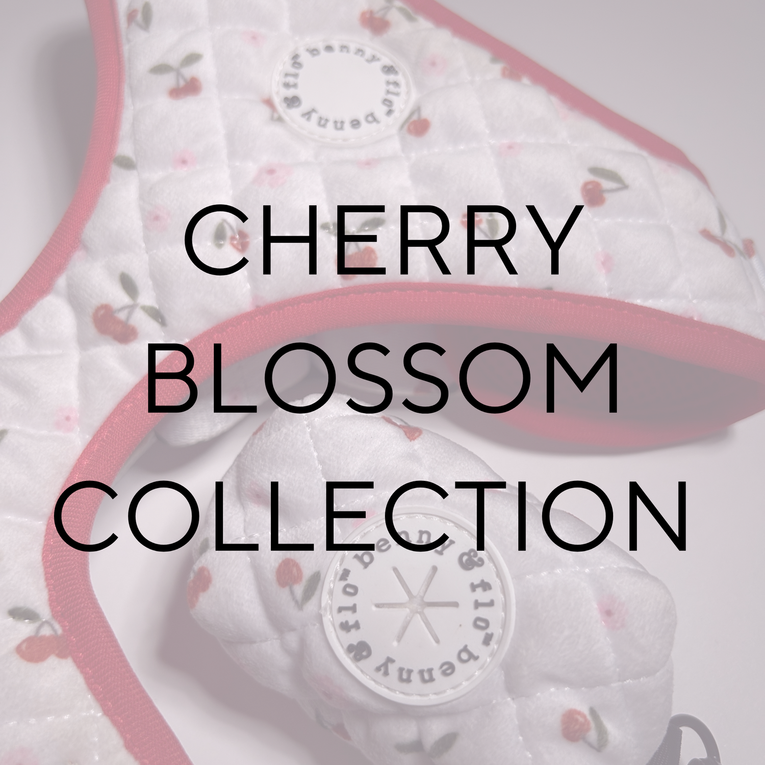 Cherry Blossom Collection