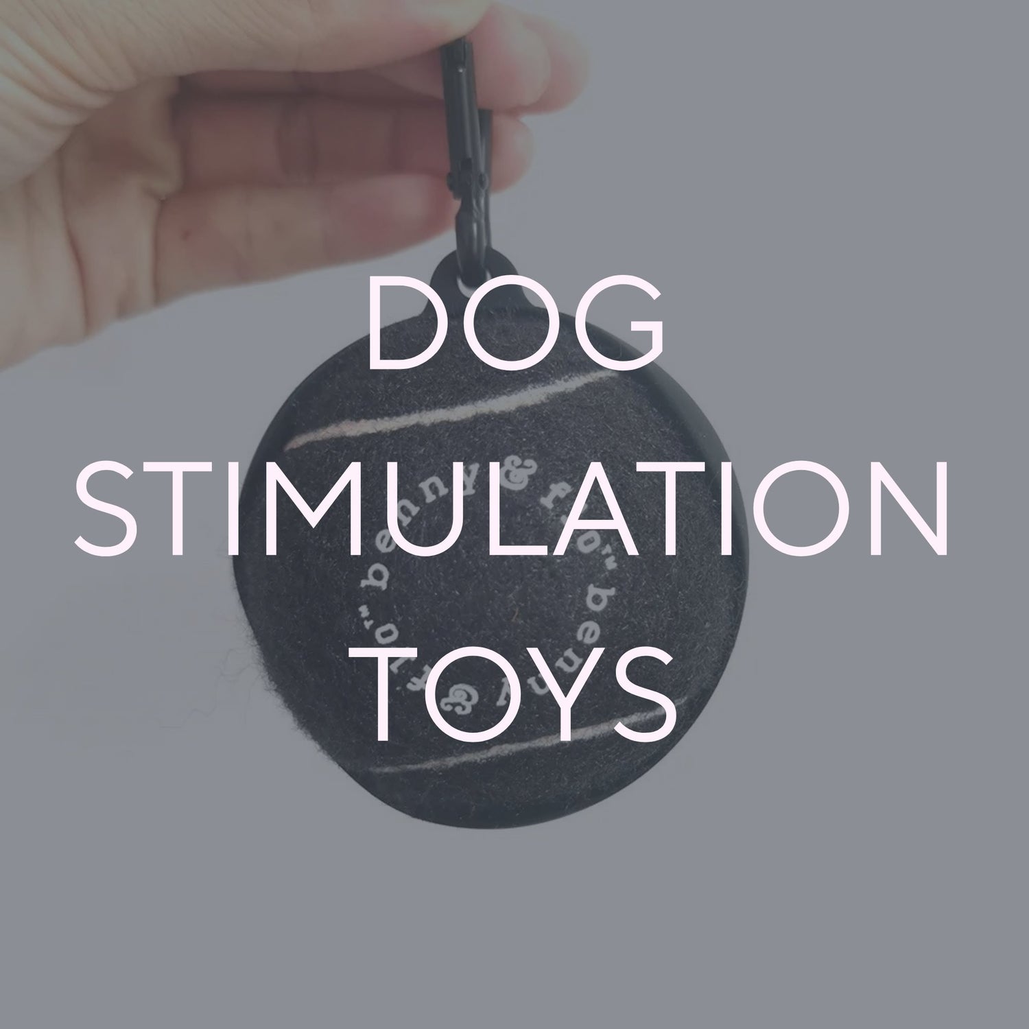 Dog Stimulation Toys