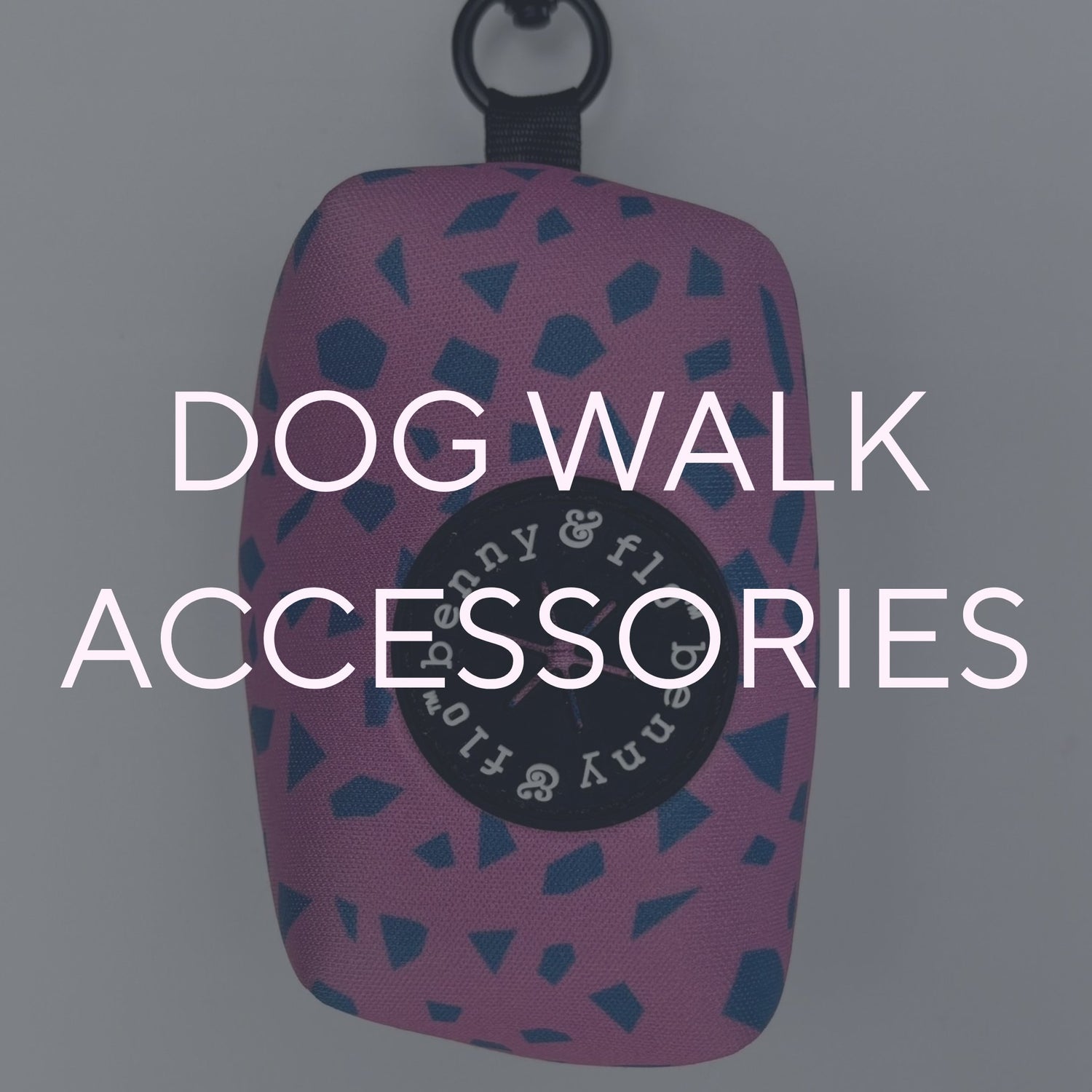 Dog Walking Accessories