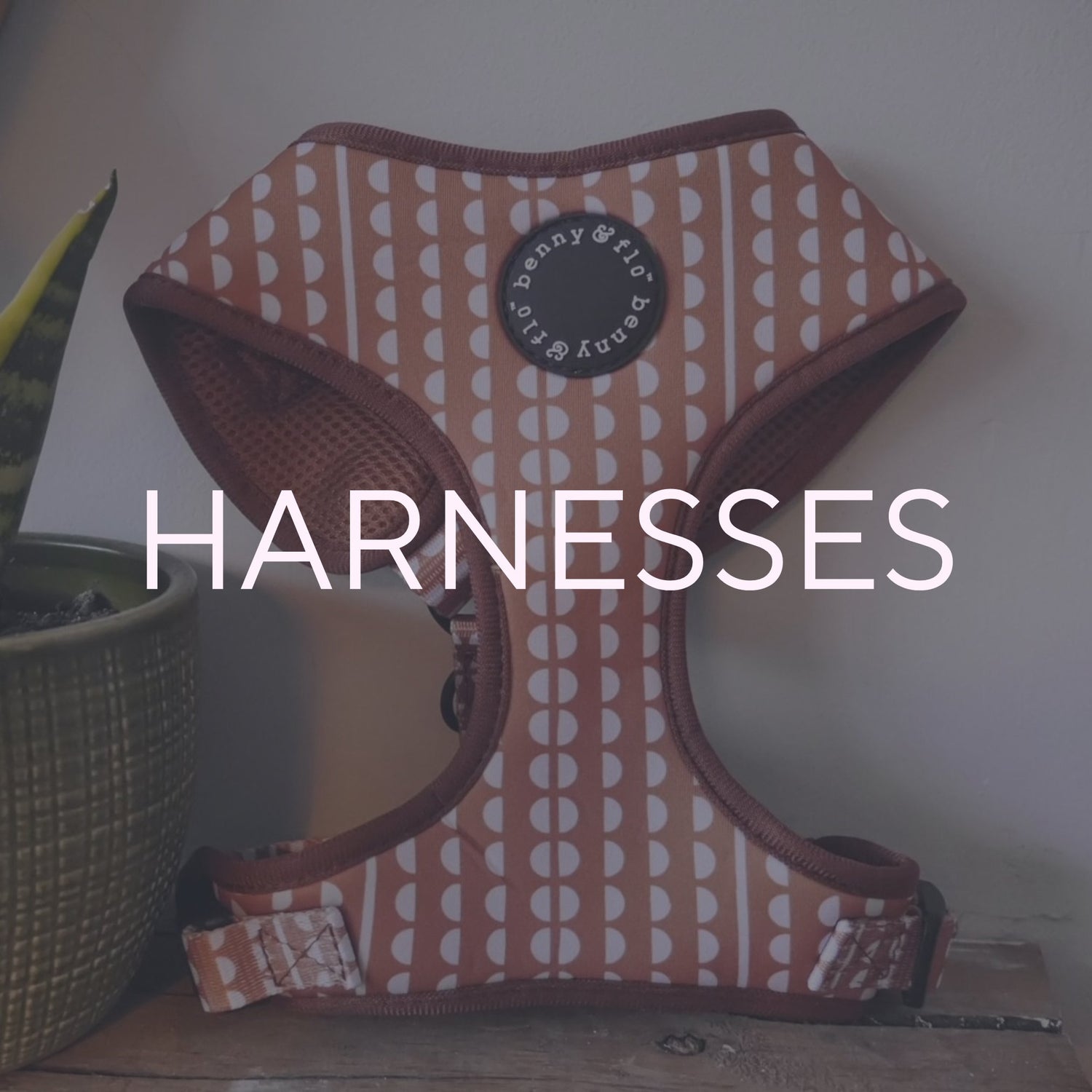 Harnesses