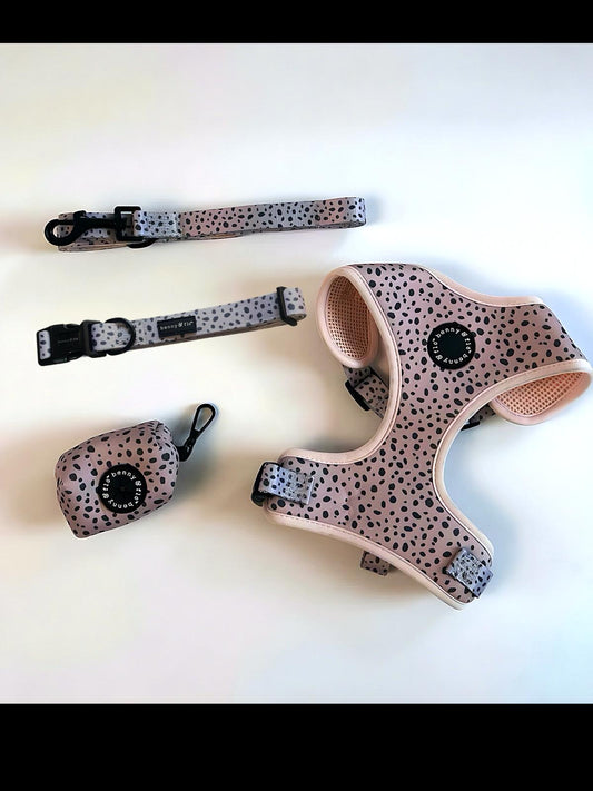 Dalmatian Dream Bundle