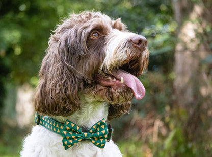 Cactus Bow Tie