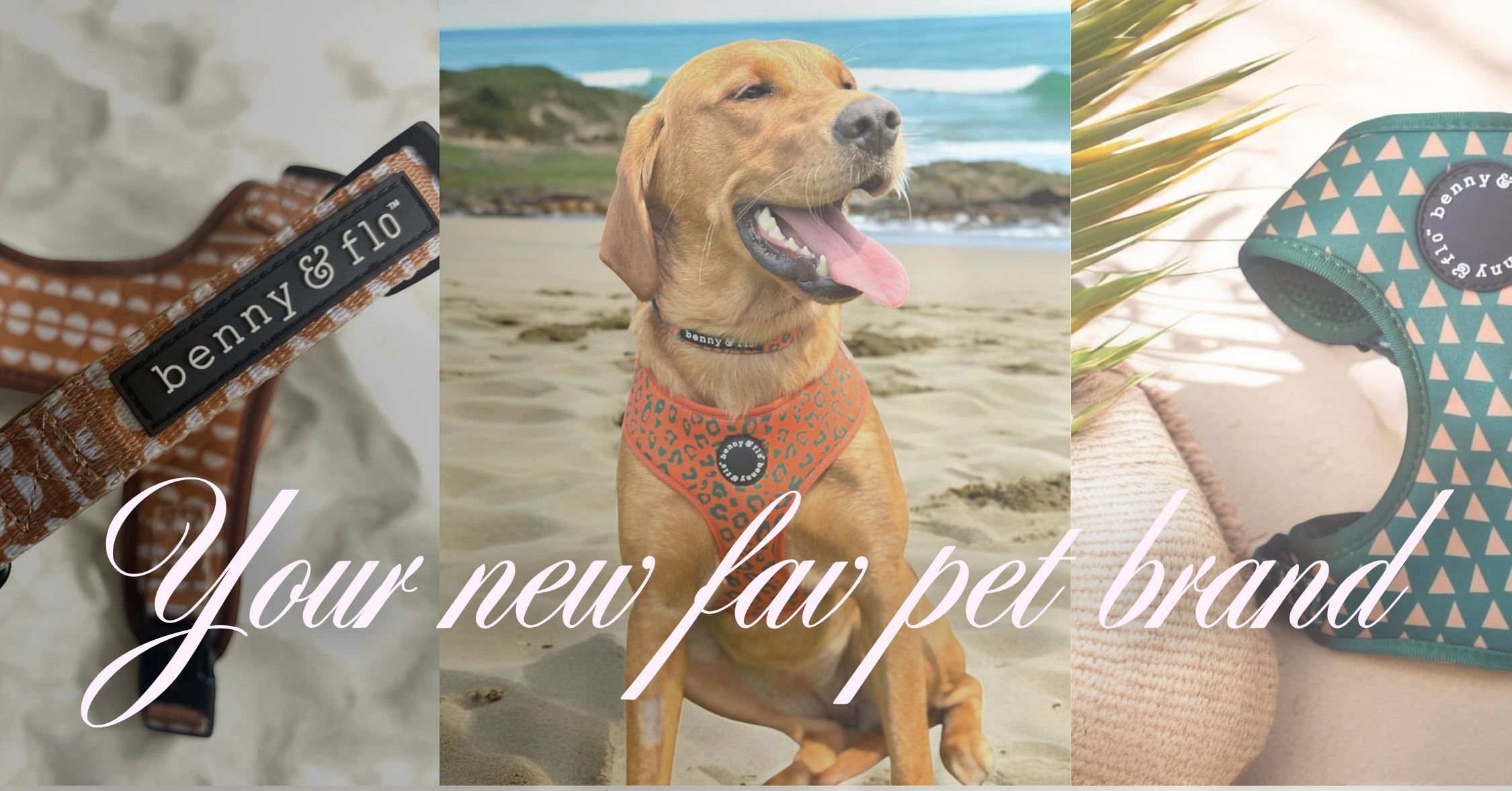Flo Out Out & About – Benny & Flo