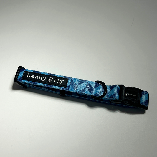 Blue patterned dog collar with 'benny & flo' label on a white background