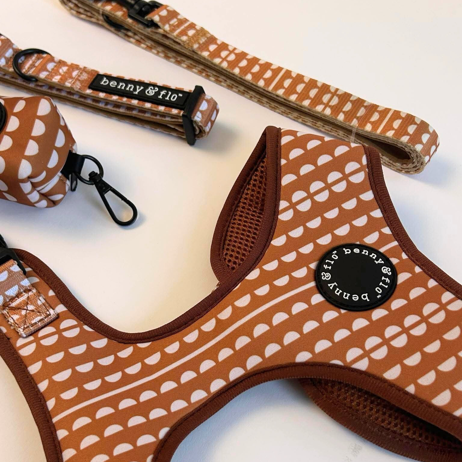 Dog collar, leash, and harness set with brown pattern on a light background