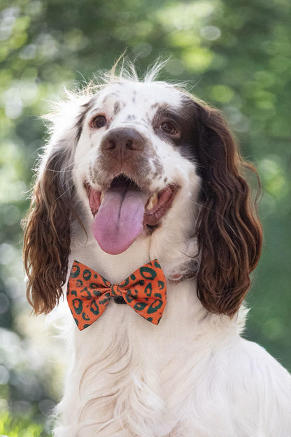 Wilderness Bow Tie