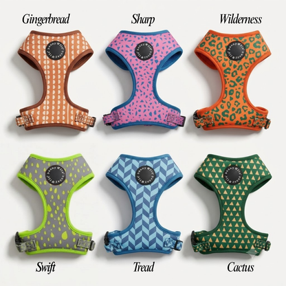 Puppy/Kitten Harnesses