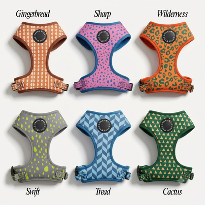 Puppy/Kitten Harnesses