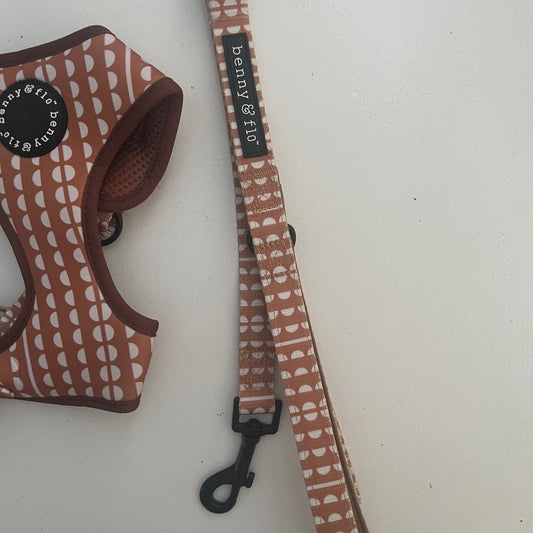 Gingerbread Lead