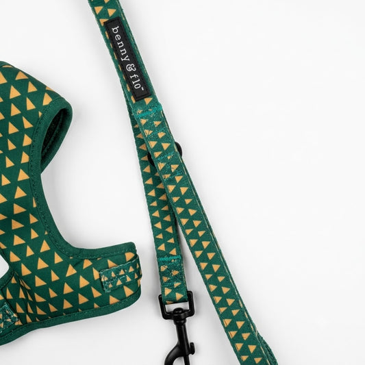 Green and yellow patterned dog lead | Cactus | Benny & Flo West Midlands