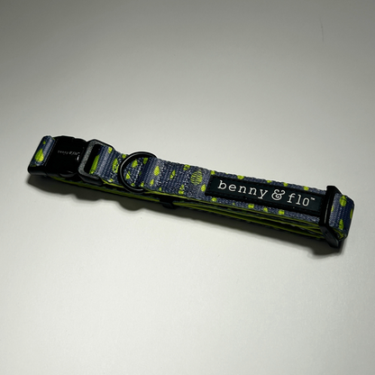 Dog collar with 'benny & flo' branding on a white background