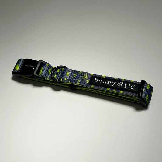 Dog collar with 'benny & flo' branding on a white background