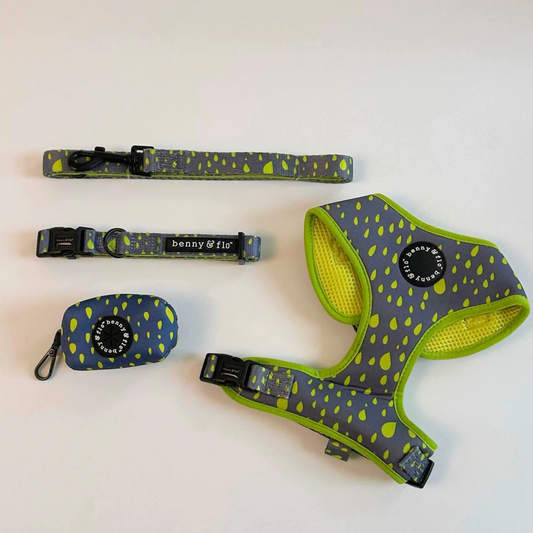 Grey and neon green dog harness, collar and lead set | Swift Collection Bundle | Benny & Flo West Midlands