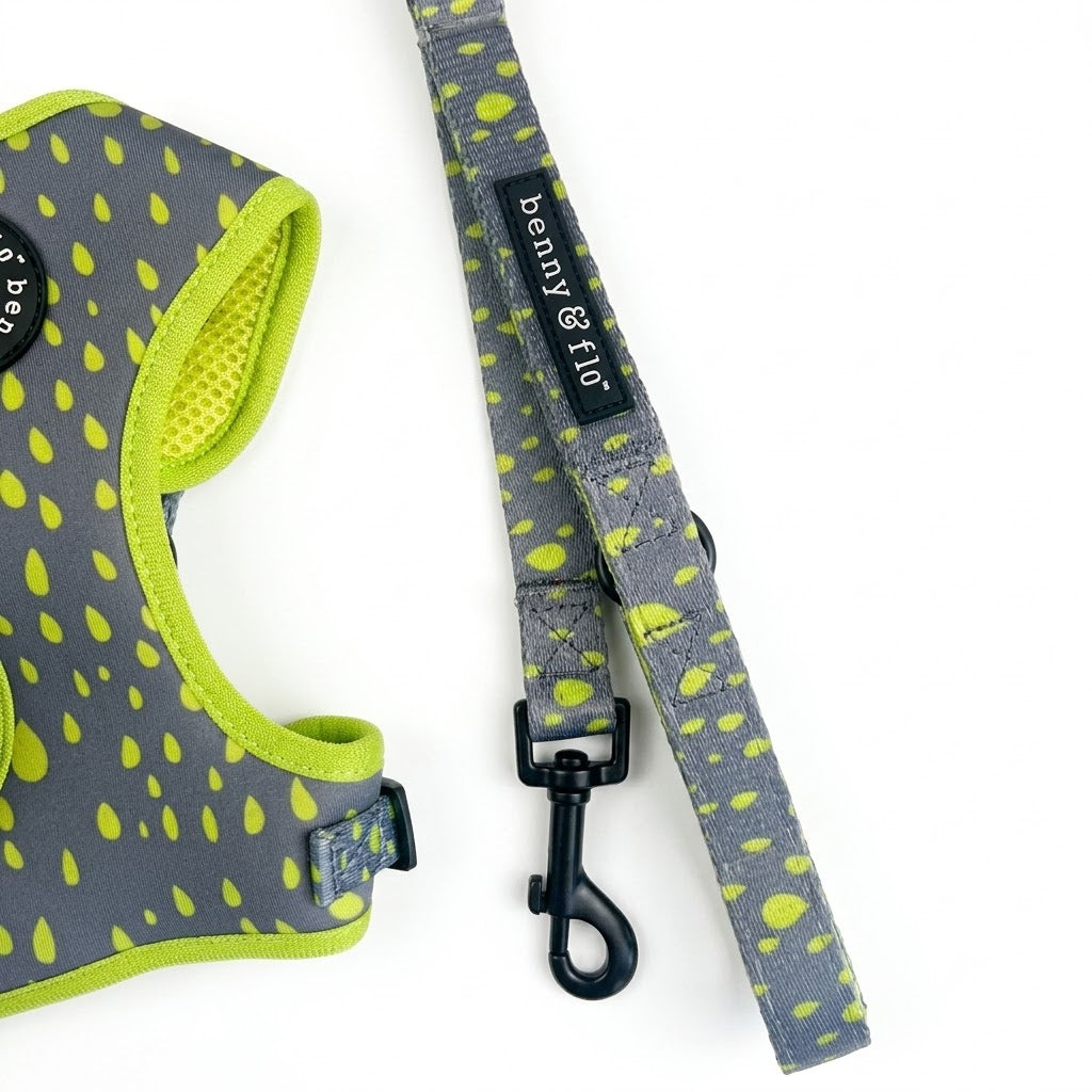 Grey and neon green dog lead | Swift dog walking lead | Benny & Flo West Midlands