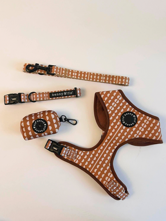 Gingerbread Collection Bundle