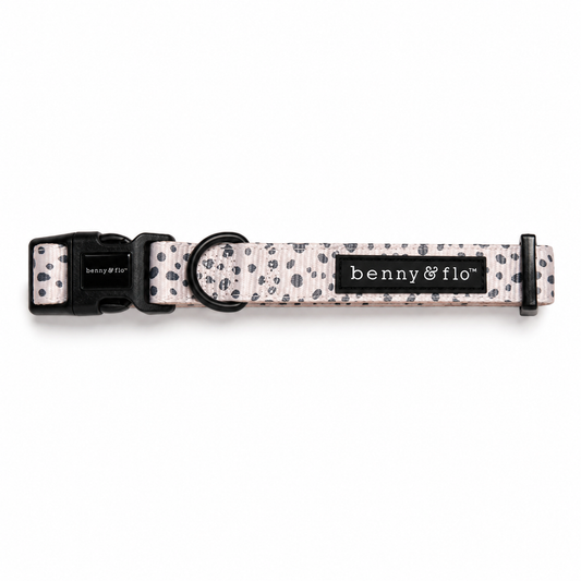 Dalmatian Dream Collar