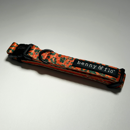 Dog collar with orange and green leopard pattern on a white background