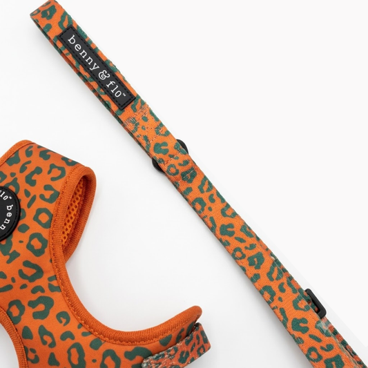 Orange and green leopard print dog lead | Wilderness | Benny & Flo West Midlands