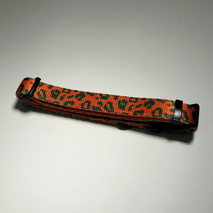 Dog collar with orange and green leopard pattern on a white background