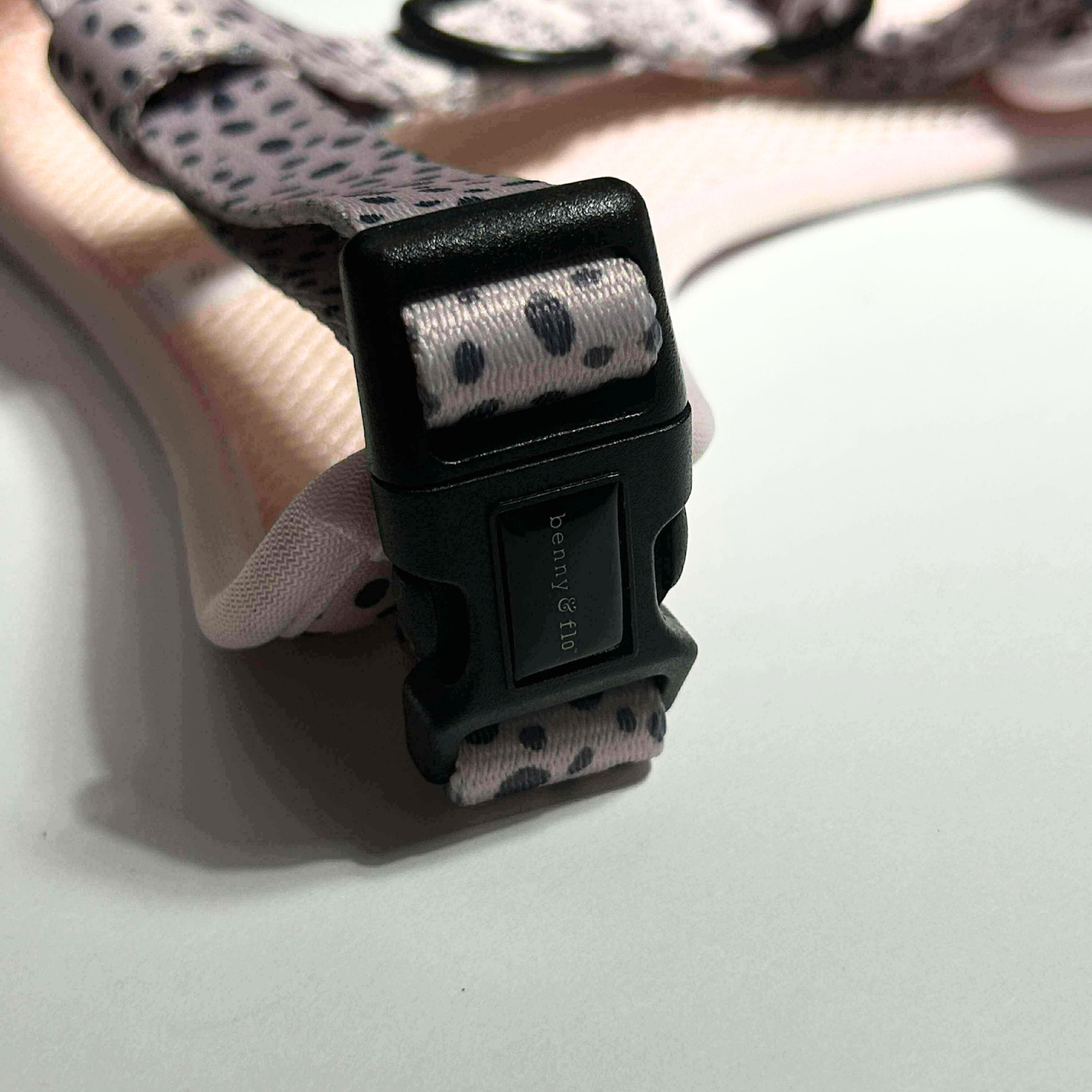 Dog collar with branded benny and Flo black buckle and patterned strap on a white background