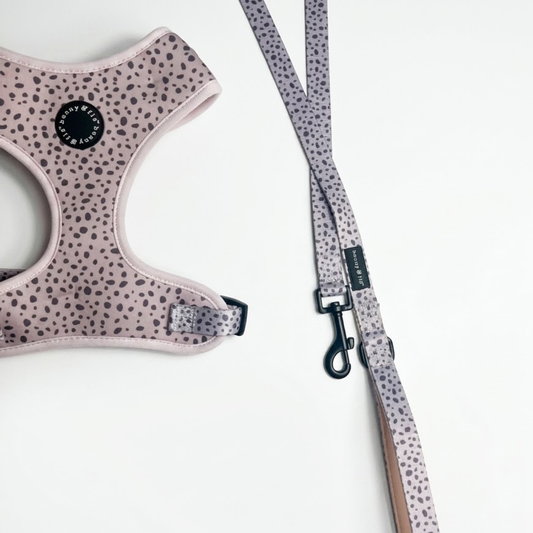 Pink and grey spotted dog lead | Dalmatian Dream | Benny & Flo West Midlands