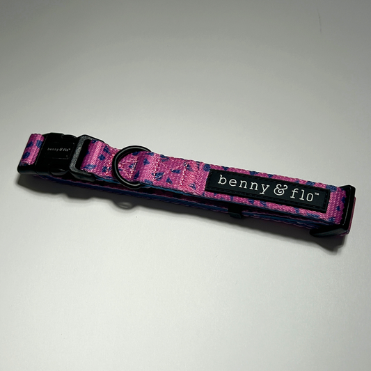 Dog collar with purple and blue pattern on a white background
