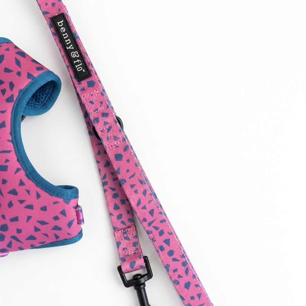 Purple and blue dog lead | Sharp dog walking lead | Benny & Flo West Midlands