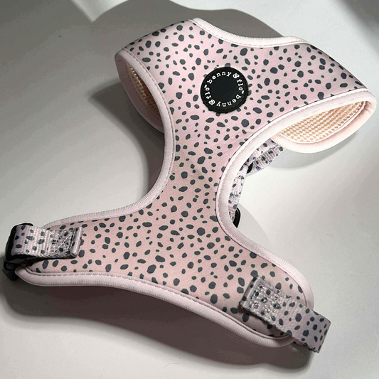 Dalmatian Dream Harness