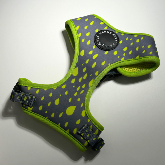 Swift Harness