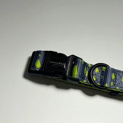Swift Collar