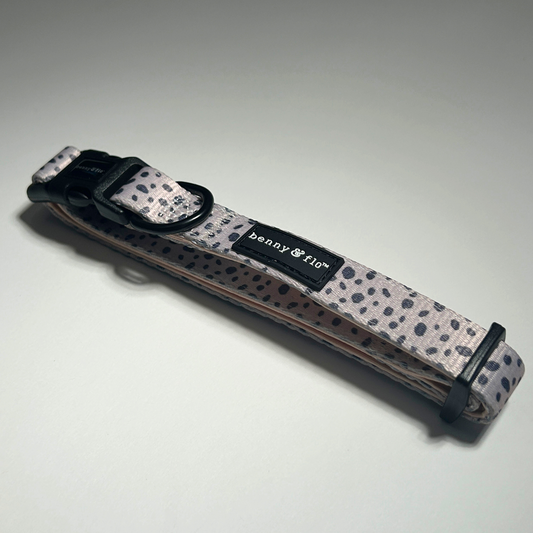 Dalmatian Dream Collar