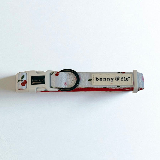 Cherry theme dog collar with 'benny & flo' branding on a white background