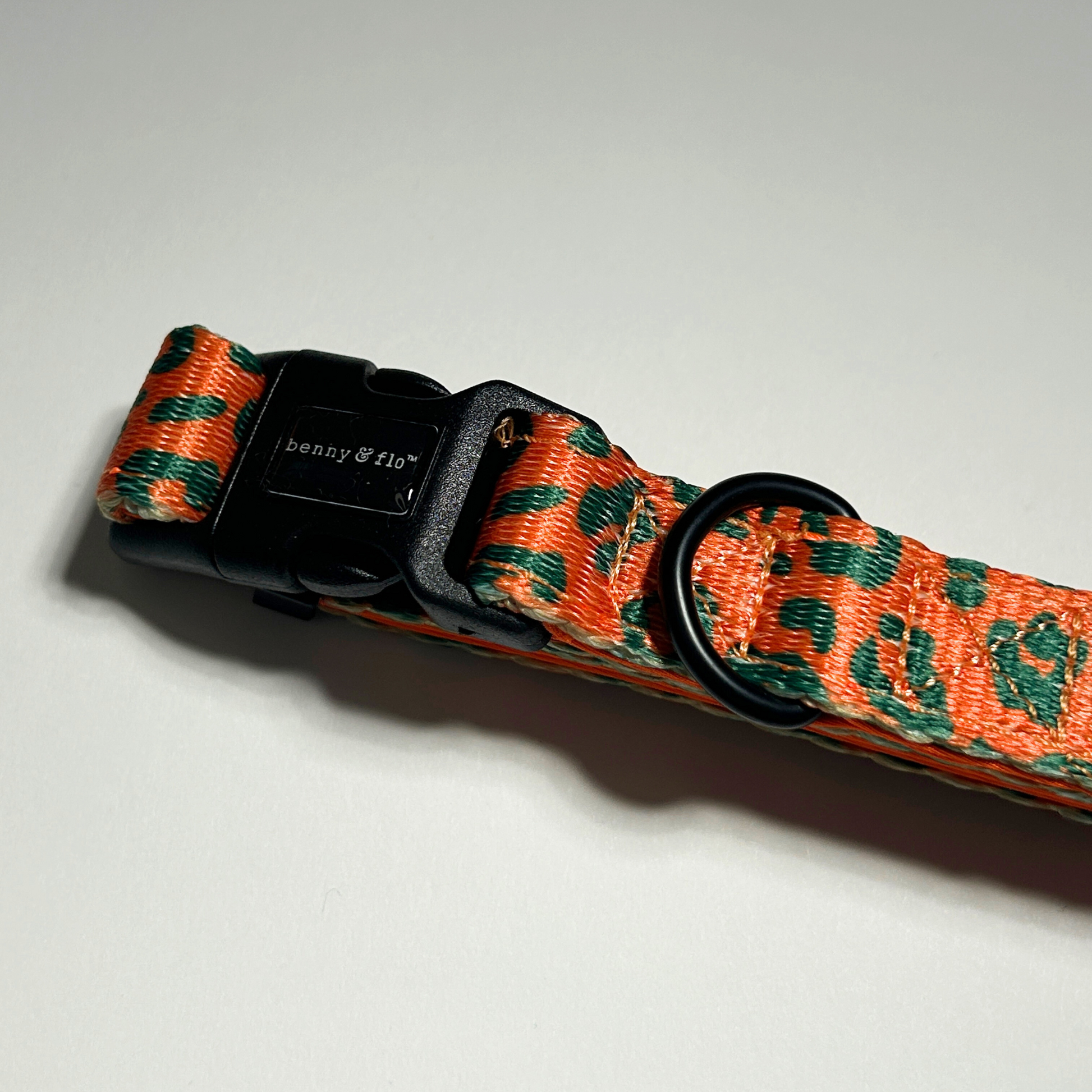 Dog collar with orange and green pattern on a white background