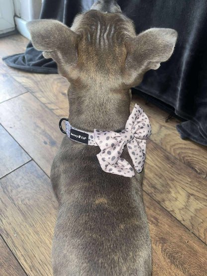 Dalmatian Dream Bow