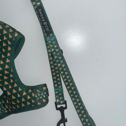 Cactus Lead