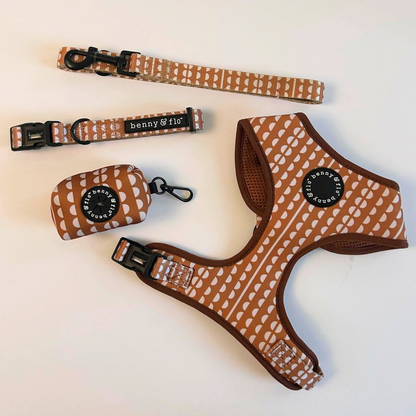 Dog collar, leash, and harness set with brown pattern on a light background