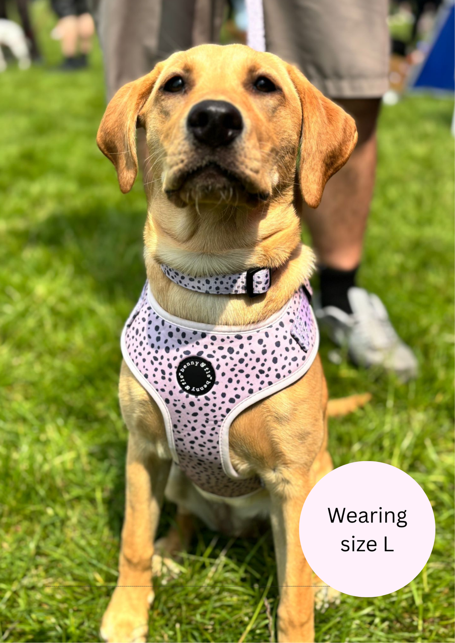 Dalmatian Dream Harness