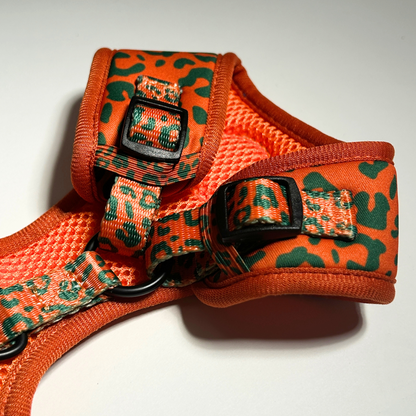 Orange and green patterned dog harness on a white background
